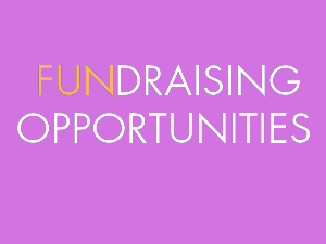Fundraising Opportunities icon
