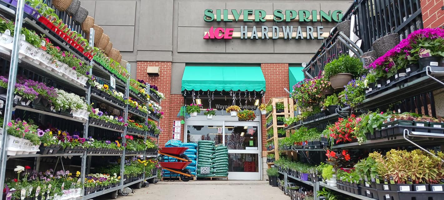Silver Spring Ace Hardware 1st Annual Ladies' Night Downtown Silver
